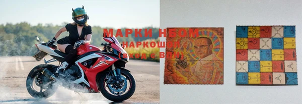 твердый Аркадак