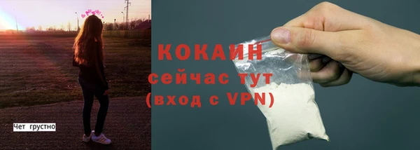 твердый Аркадак