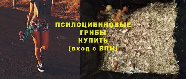 твердый Аркадак
